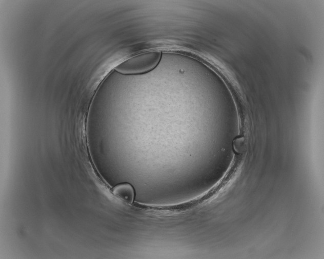 X0000115721289200911121443
