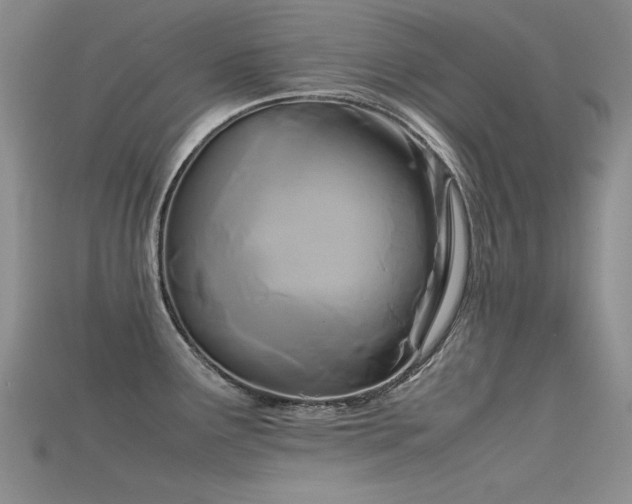 X0000115721291200911121443