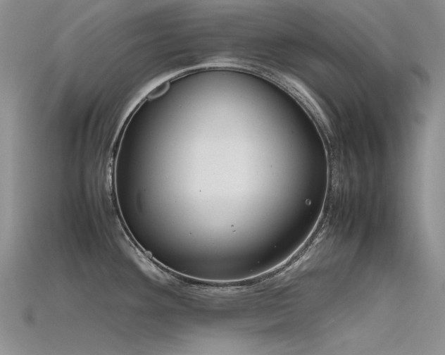 X0000115721292200911121443
