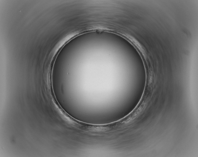 X0000115721293200911121443