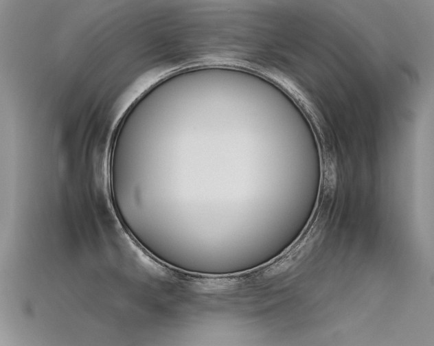 X0000115721294200911121443