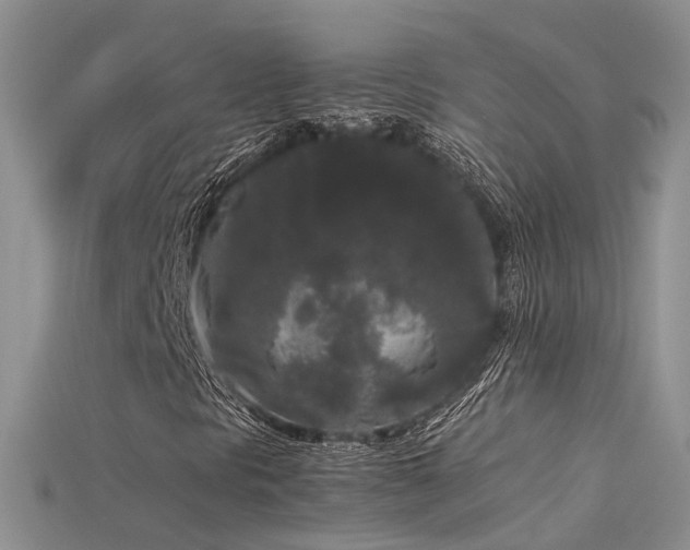 X0000115721297200911121442