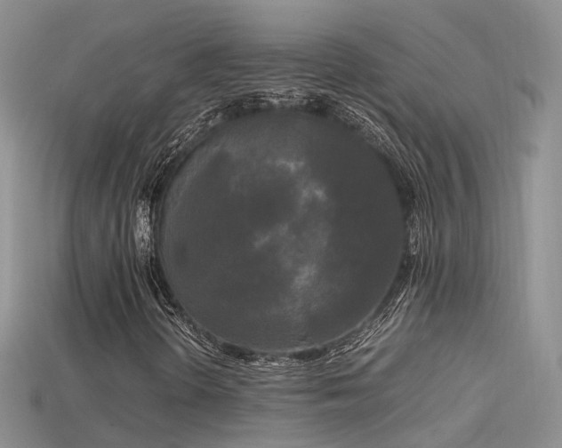 X0000115721298200911121442