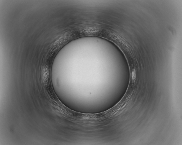 X0000115721299200911121442