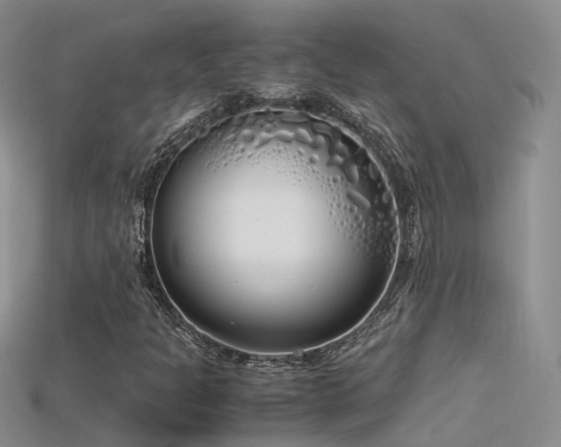 X0000115721301200911121442