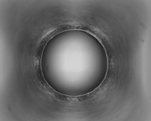 X0000115721302200911121442