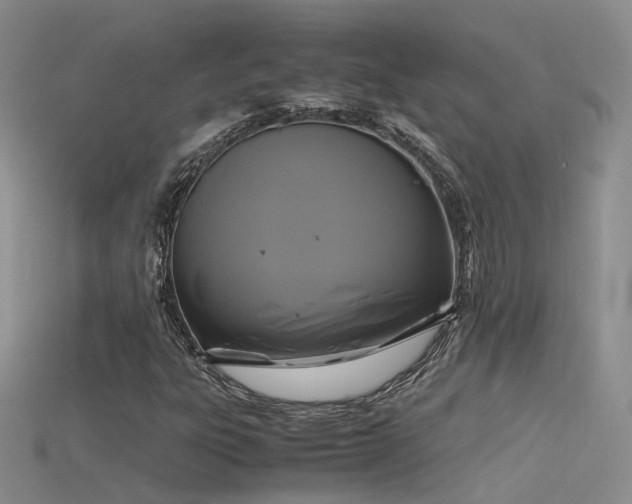 X0000115721303200911121442