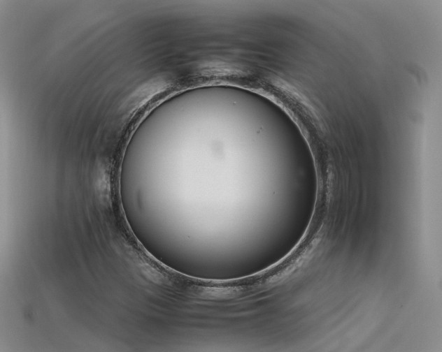 X0000115721305200911121442