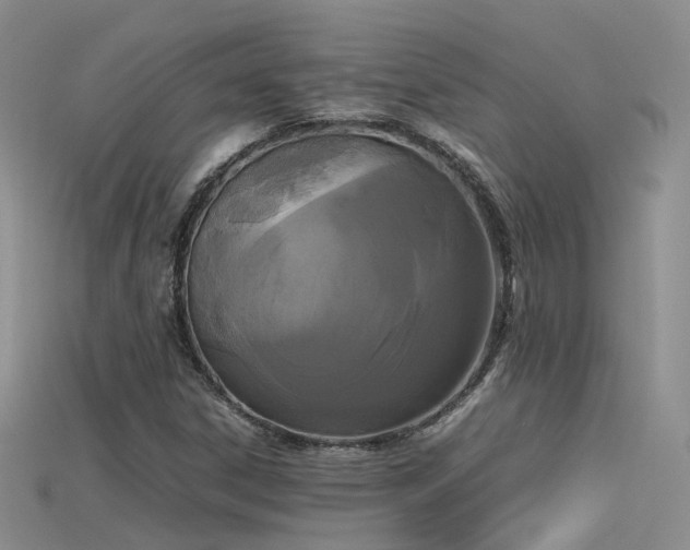 X0000115721306200911121442