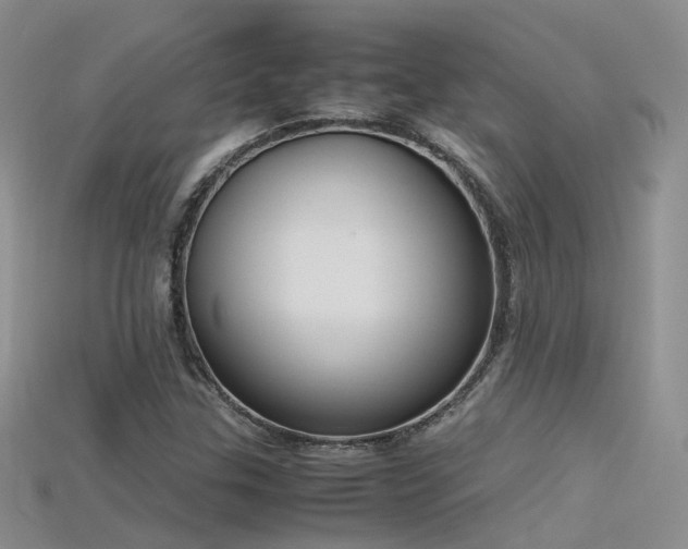 X0000115721307200911121442