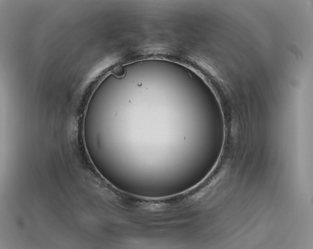 X0000115721309200911121442