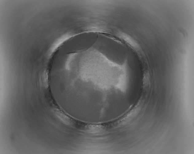 X0000115721310200911121442