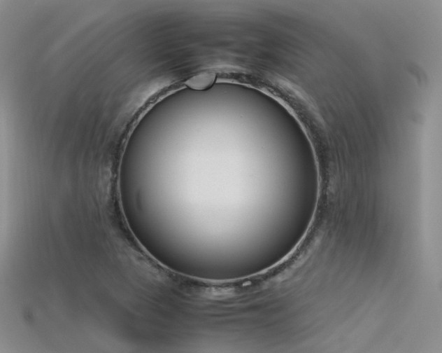 X0000115721313200911121442