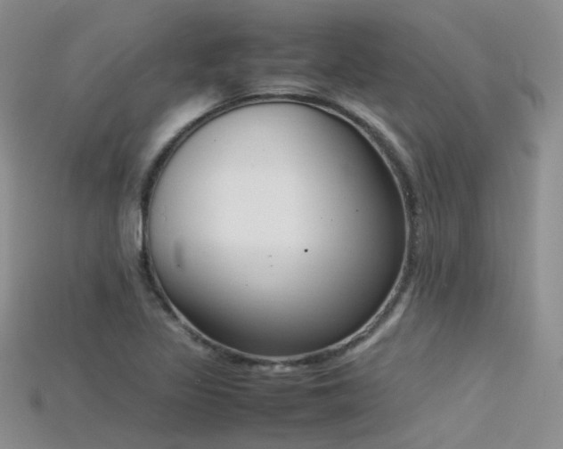 X0000115721317200911121442