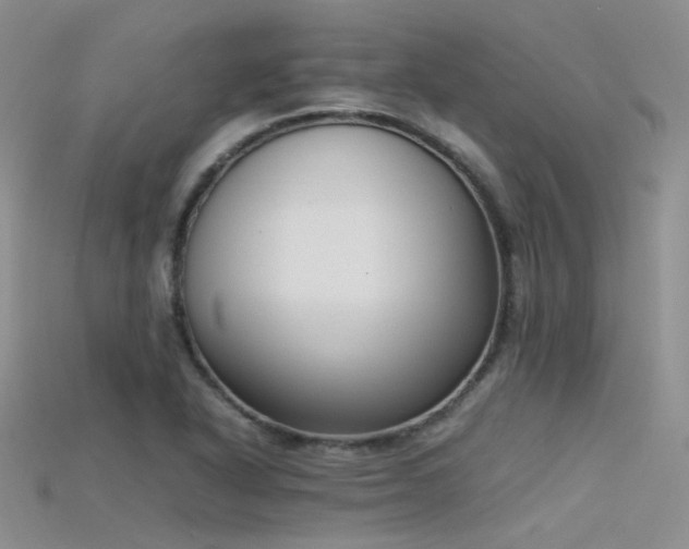 X0000115721318200911121442