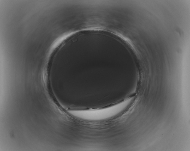 X0000115721319200911121442