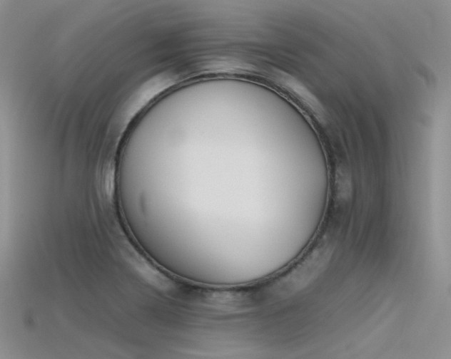X0000115721322200911121442