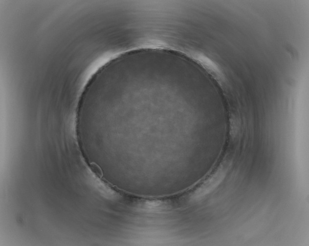 X0000115721326200911121442