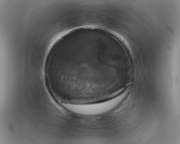 X0000115721327200911121442