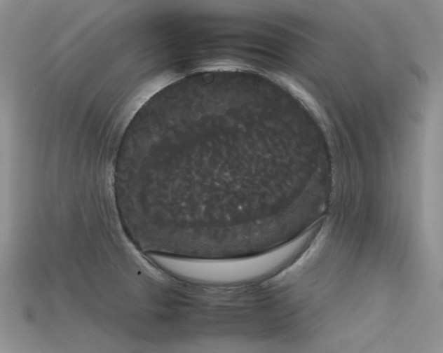 X0000115721329200911121443
