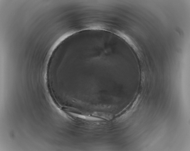 X0000115721331200911121443