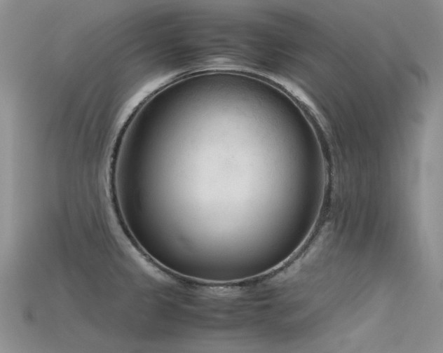 X0000115721333200911121443