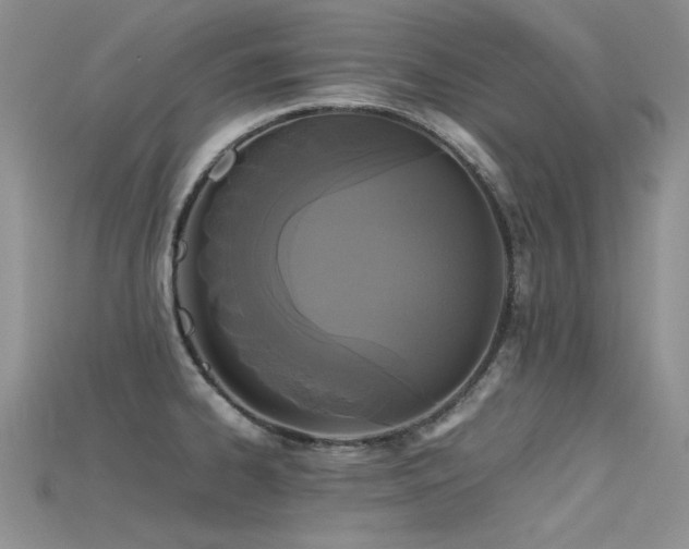 X0000115721334200911121443