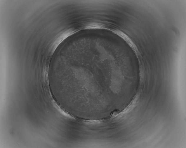 X0000115721337200911121443
