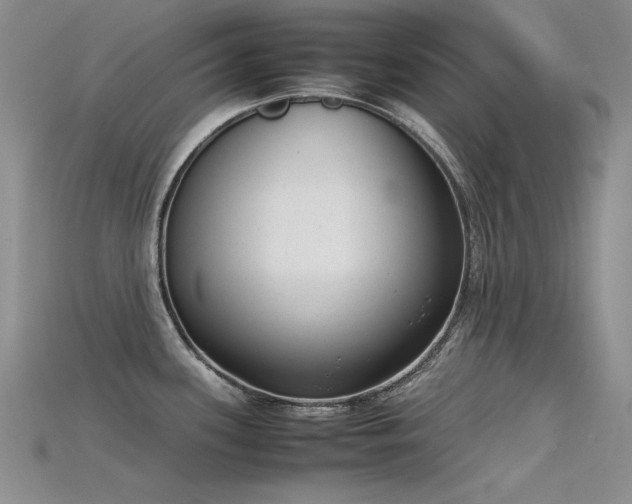 X0000115721339200911121443