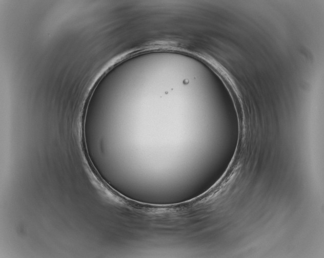 X0000115721341200911121443