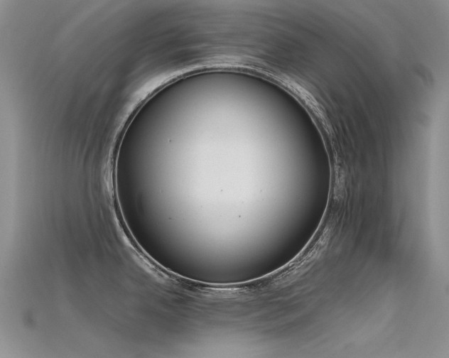 X0000115721342200911121443