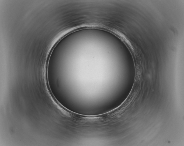X0000115721343200911121443