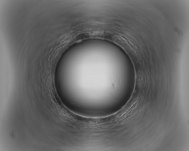 X0000115721345200911121442