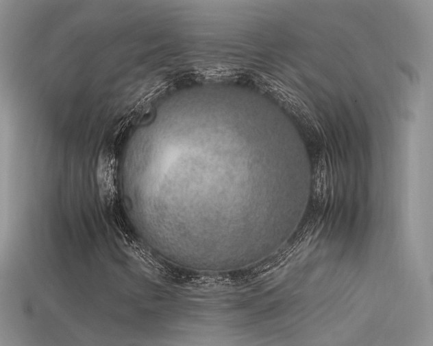 X0000115721346200911121442