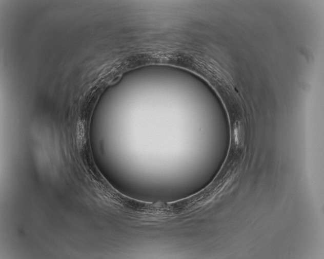X0000115721347200911121442