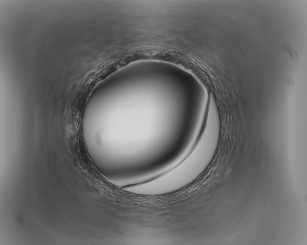 X0000115721349200911121442