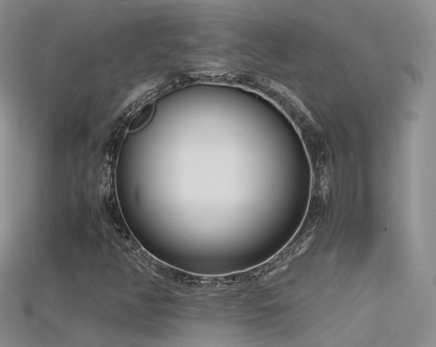 X0000115721350200911121442