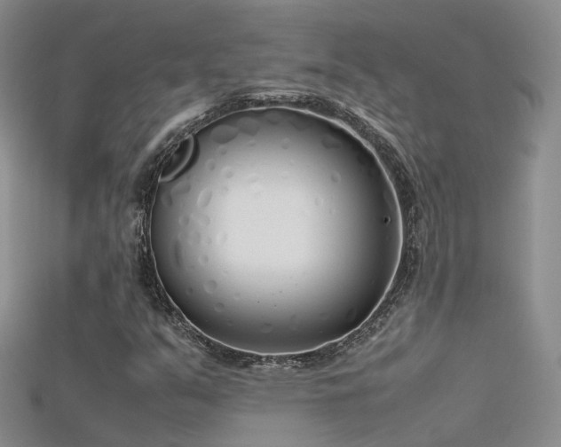 X0000115721351200911121442