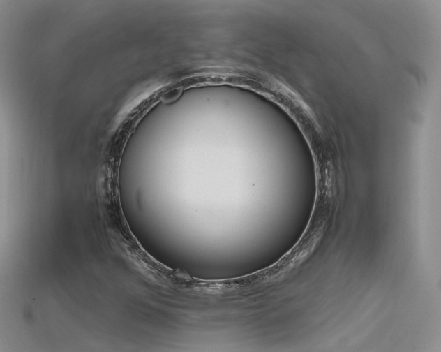 X0000115721352200911121442