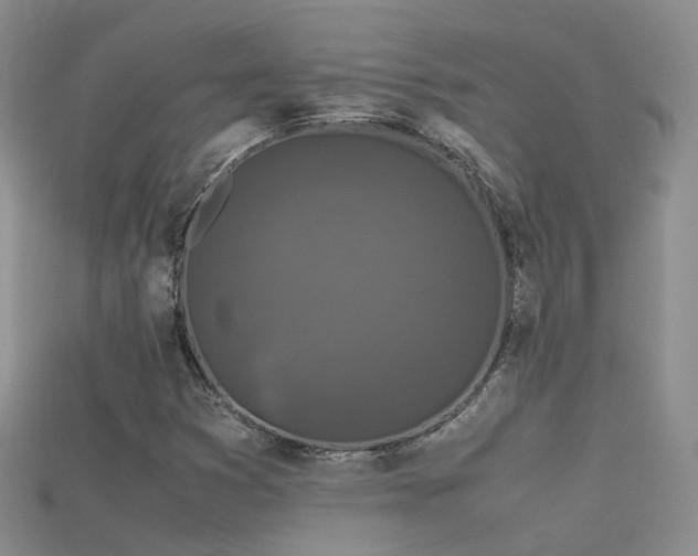 X0000115721353200911121442