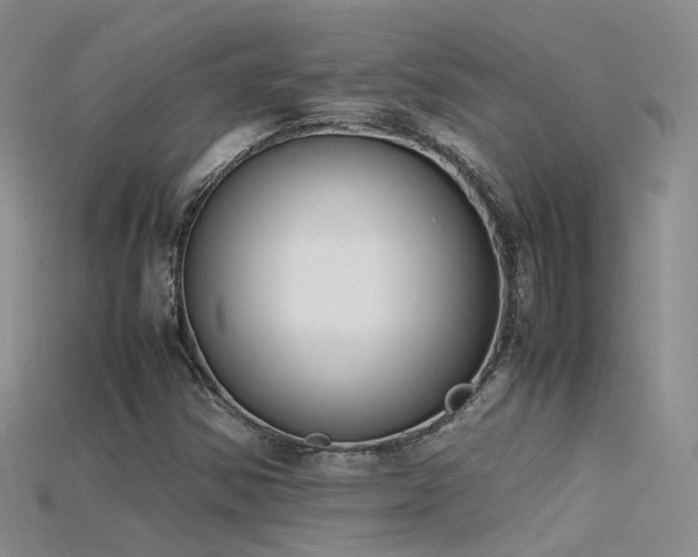 X0000115721354200911121442