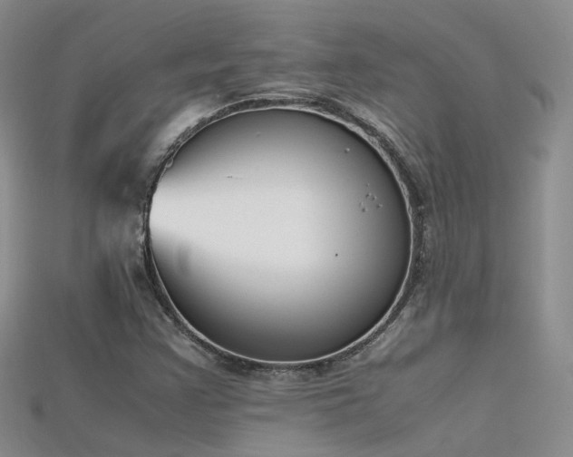 X0000115721355200911121442