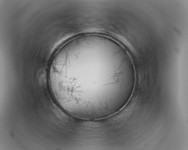 X0000115721356200911121442