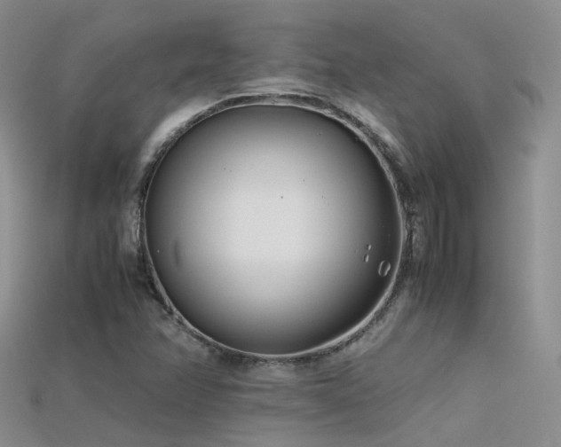 X0000115721358200911121442