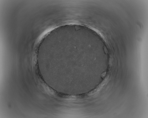 X0000115721359200911121442