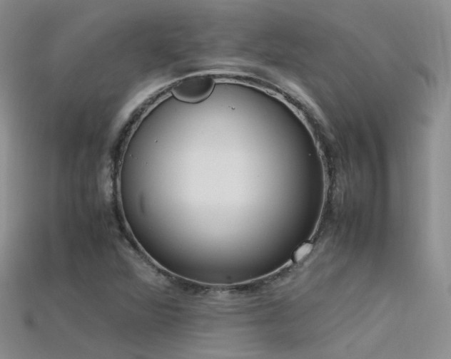 X0000115721360200911121442