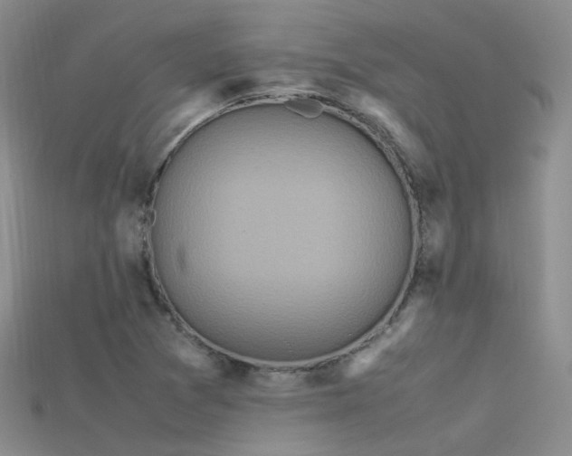 X0000115721361200911121442