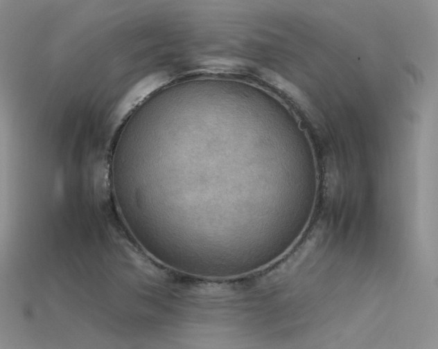 X0000115721362200911121442