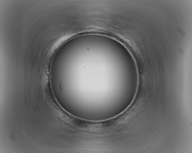 X0000115721363200911121442