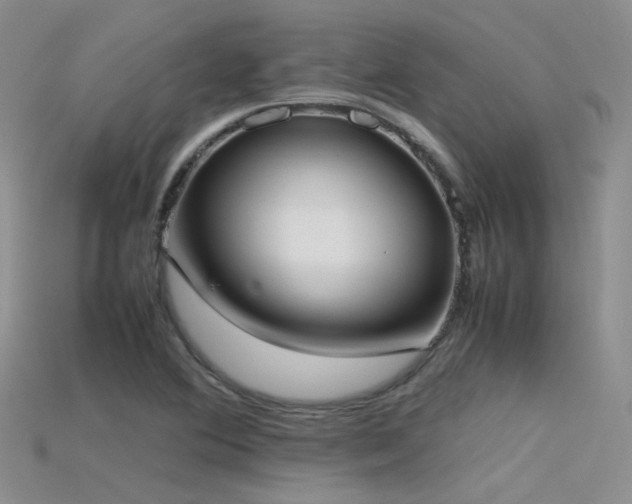 X0000115721364200911121442